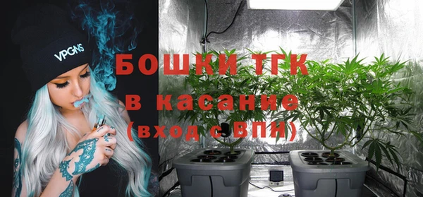 мет Каменка