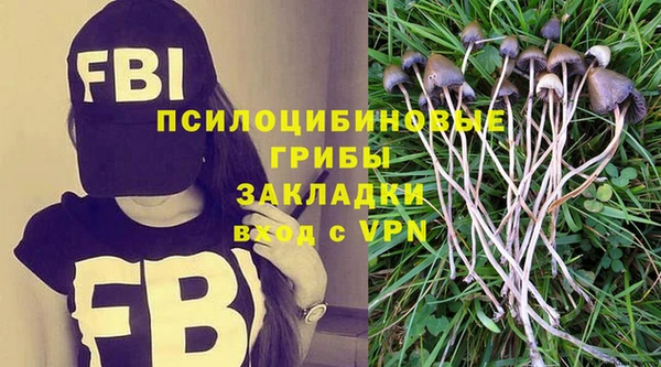 Альфа ПВП Каменногорск